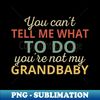 JS-88900_You Cant Tell Me What To Do Youre Not My Grandbaby I 7588.jpg