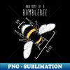 Bumblebee Anatomy - Unique Sublimation PNG Download