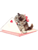 Valentine_s day cat .png
