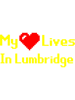 My Heart Lives In Lumbridge - Old School Runescape.png