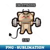 NP-70321_strong brave muscle cat bodybuilding 2011.jpg