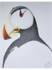 Horned Puffin.png