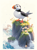 Puffin Rock(2).png