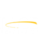 Pace university (21).png