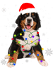 Bernese Mountain Dog Lights Christmas Matching Family 38.png