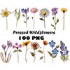 wildflowerspress20.jpg