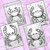 Cute and amazing crab coloring pages 3.jpg