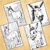 Donkey Coloring Pages 3.jpg