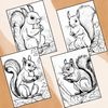Squirrel Coloring Pages 3.jpg