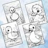 Cute Ducklings Coloring Pages 3.jpg