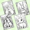 Coloring Pages of Cute Bunnies 4.jpg