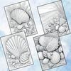 Seashell Coloring Pages for Adults 2.jpg