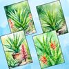 Aloe Vera Plant Reverse Coloring Pages 3.jpg