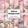 Sakura Backgrounds 1.jpg