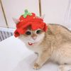 crochet strawberry hat1.jpg