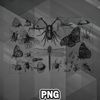 ARH0607231025504-Artist PNG Insect Etching PNG For Sublimation Print.jpg