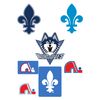 Quebec Nordiques.jpg