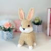 Crochet Pattern-bunny-Crochet-PATTERN-plush-toy-Amigurumi-stuff-toys-tutorial-Amigurumi-pattern-rabbit-2.jpg