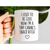 I Used To Be Cool Now I'm A Tiny Canine's Snack Bitch, Dog Mom Mug, Funny Gift For Mom, Funny New Mom Coffee Mug, Mother.jpg