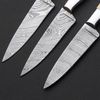 Set of 3 Kitchen Chef's Knives Lot of 3 Chef knife, Damascus Steel & Bone Handle (2).jpg