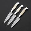 Set of 3 Kitchen Chef's Knives Lot of 3 Chef knife, Damascus Steel & Bone Handle (1).jpg