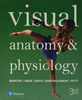 test-bank-for-visual-anatomy-physiology-3rd-edition-by-frederic-martini-pdf.jpg