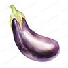 2-american-eggplant-clipart-png-transparent-background-vegetable.jpg