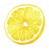 9-watercolor-lemon-slice-clipart-clear-background-png-yellow.jpg