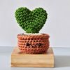 Crochet Hoya Kerrii (Heart Succulent) Plant in Rust Pot 1.jpg