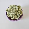 Crochet Small Succulent in Purple Pot 2.jpg