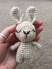 Rabbit in a Carrot Sleeping Bag Crochet Pattern 3.jpg