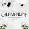 Calamandria-Font-1.jpg