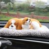 D8h7Car-Decorations-Car-Interiors-Live-Bamboo-Charcoal-Coated-Charcoal-Simulation-Dog-Purify-Air-In-Addition-To.jpg