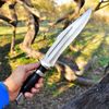 Custom Handmade Bowie Knife Survival Knife Outdoor Camping Bowie Hunting Knife Gift For Him Special Edition Knife (5).jpg