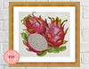 Watercolor Dragon Fruit 5.jpg