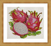Watercolor Dragon Fruit2.jpg