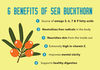 Sea-Buckthorn-Benefits-6.jpg