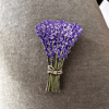 lavender4.png