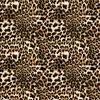 Leopard Print Animal Skin Pattern Women’s Recycled Athletic Shorts