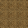 Leopard Skin Animal Print Seamless Pattern Longline sports bra