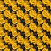 Yellow and Black Rose Flowers Seamless Pattern Padded Sports Bra