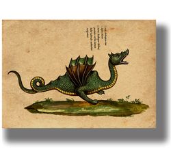 An ancient Dragon from the Monstrorum Historia. Snake art print. A fantastic reptile wall decor. 521.