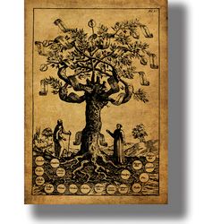 tree of knowledge. esoteric art poster. cabbala poster. illustration from the mystical book. 343.