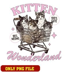 Cat kitten wonderland png, cat png