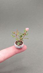 Miniature Realistic Potted Rose 1:12 Scale, Pink Rose Flowers for Dollhouse