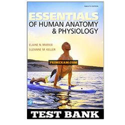 Essentials of Human Anatomy and Physiology 12th Edition Marieb Test Bank