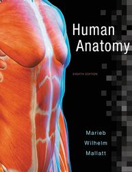 Human Anatomy 8th Edition Marieb Test Bank