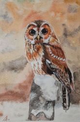 Owl painting original watercolor art bird artwork wildlife art