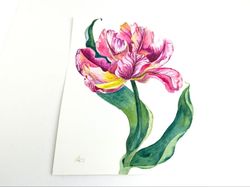 Pink tulip painting original watercolor art hot drink artwork