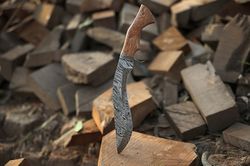 14-Inch Damascus Camping Knife Forged for Exploration Kukri Hunting Knife - Genuine Damascus Craftsmanship - BladeMaster